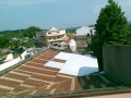 tempoal Ver-foto8.jpg